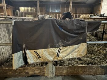 Regendecke, Reiterladen 24 Basicline, Vanessa Herzog, Horse Blankets, Sheets & Coolers, Calw