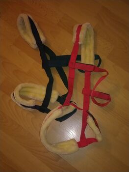 Reine Weide Halfter !, Andrea , Halfter, iserlohn