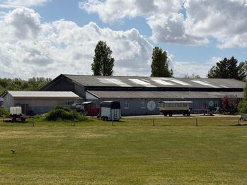 Reitanlage auf Langeoog - Reithalle, 19 Boxen & Paddocks - Reitstall Süderhof, Marvin, Pferdeimmobilien, Langeoog
