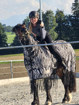 Reitbeteiligung, Aurora, Horse Sharing, Zug