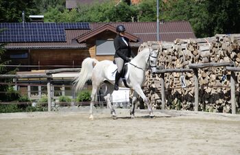 Reitbeteiligung