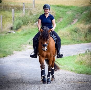 Reitbeteiligung an Walla h