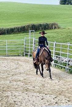 Reitbeteiligung WESTERNREITEN zu vergeben