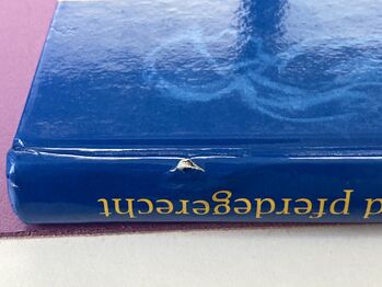 Reiten anatomisch richtig und pferdegerecht (Kirsten Jung) KOSMOS