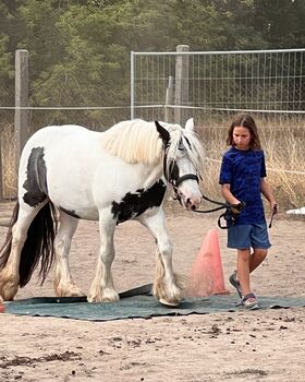 Reiterferien auf dem Reiterhof 🐎 Reiterferien / Reitunterricht / Reiterhof / Reitabzeichen Ferien / Ausbildung