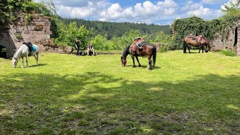 Reiterferien, Wiesentalranch, Reiturlaub, Mudau