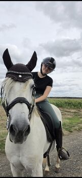 Reithelm zu verkaufen Swing Reithelm 