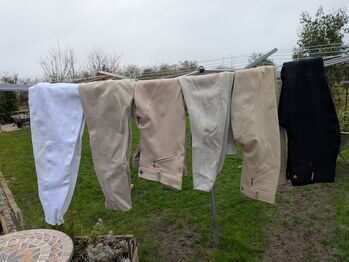 Breeches / jodpurs Cardene