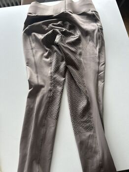 Reitleggin Winter