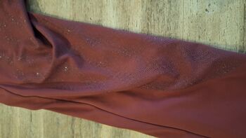 Reitleggins Größe 40, Horze, Simone, Reithosen, Stockelsdorf