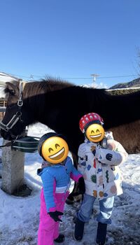 Reitpädagogik, Reitstunden, Ferienprogramme, Kindergeburtstag &mehr