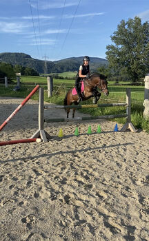 Reitpony mit Talent, Nutella, Horses For Sale, Mitterlobming