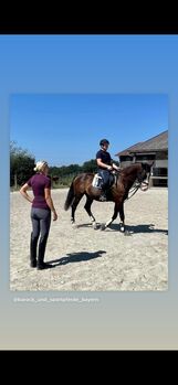 Reitunterricht für Kinder und Erwachsene, Adriane Schmedemann Reitschule, Reitunterricht, Schonstett 