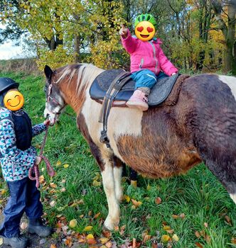 Reitunterricht Reittherapie Kindergeburtstag