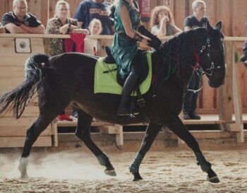 gelassene Freizeitstute