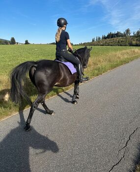 gelassene Freizeitstute