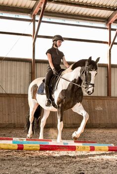 Zuverlässige Partnerin mit Herz, Katharina Lehmann (Pferdevermittlung Leus), Horses For Sale, Kremmen