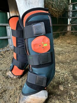 Vermietung: Bemer Horse Set Bemer Horse Set
