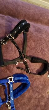 Rhinegold padded headcollars size full