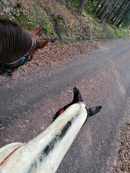 Reitbeteidigung /Mitreiter, Sunbeam Ranch! , Horse Sharing, Kaufbeuren 