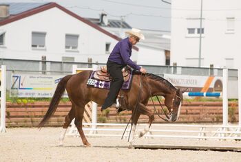 Rittige, bildhübsche Quarter Horse Stute, Kerstin Rehbehn (Pferdemarketing Ost), Horses For Sale, Nienburg