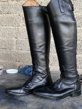 Reitstiefel Brasilia 38 Felix Bühler Steeds, Felix Bühler Steeds Reitstiefel , Maya  Schmitz , Riding Boots, Bonn