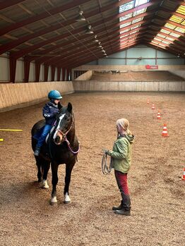Reiten - aber mal anders