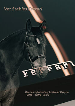 Reit- und Pflegebeteiligung, Verena Edelsbrunner, Horse Sharing, Sankt Peter am Ottersbach