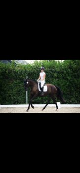 Reitunterricht Dressur, Lisa, Riding Lessons, Limbach-Oberfrohna