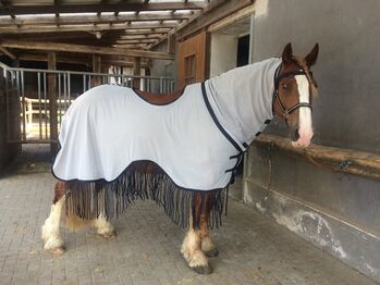 Fliegendecke 145 cm ausreiten
