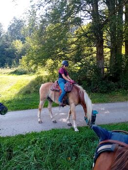 Reitbeteiligungen