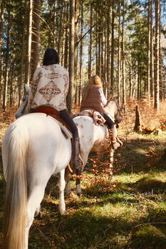 Reitbeteiligung-Pflegebeteiligung (tensegrale Kenntnisse erwünscht), Familie F, Horse Sharing, Pähl