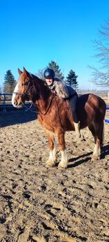 Reitbeteiligung auf Goldjungem, Nadine , Horse Sharing, Nemsdorf-Göhrendorf