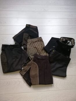 Reitbekleidung, Golden Dress, Sonnenreiter, Patri, Breeches & Jodhpurs, Aettenschwil