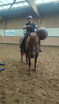 Reitbeteiligung, Sharleena Smith , Horse Sharing, Oberkrämer