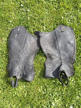 Reit Chaps 33/41, Kentaur , Privat , Half Chaps, Münzenberg 