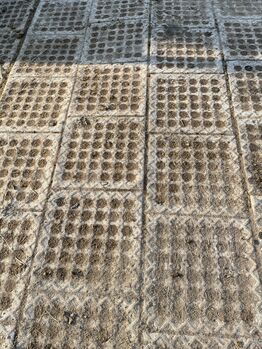 Riedwiesenhof INB Paddockolatten 50qm abzugeben Riedwiesenhof Paddockplatten