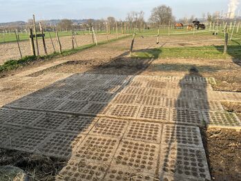 Riedwiesenhof INB Paddockolatten 50qm abzugeben, Riedwiesenhof Paddockplatten, Diana, Horse & Stable Mats, Eschweiler