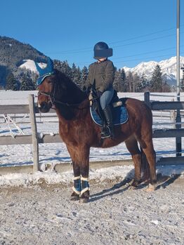 Reitbeteiligung auf Wallach, Monika , Horse Sharing, Unterperfuss