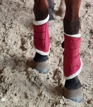 Riderschoice Gamaschen Größe XL, riderschoice, Sibylle Kerr, Tendon Boots, Pforzheim