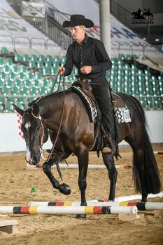 Rittiger, bildhübscher Quarter Horse Wallach, Kerstin Rehbehn (Pferdemarketing Ost), Horses For Sale, Nienburg