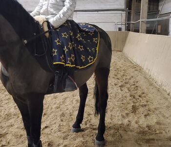 Reit Rock, Jeanette Ziesmer , Breeches & Jodhpurs, Waghäusel