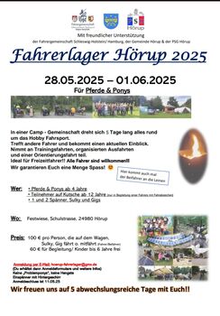 Kutsche, Training, Fahrerlager, Pony, Shetty