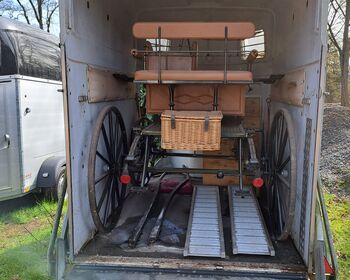 Kutsche + Geschirr im Auftrag zu verkaufen, Glinkowski Spider, Kerstin Mothes, Carriages, Zülpich