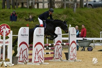 Rittige vielseitig talentierte Springmaus nach Contendro, Mara, Horses For Sale, Knittelfeld
