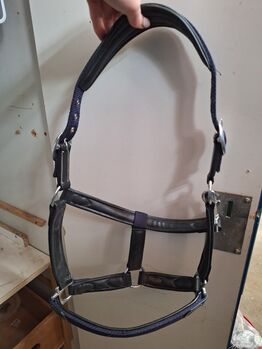 Robustes Lederhalfter dunkelblau, Marie, Halters, Mönchengladbach 