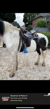 ROC Reinduro 16/34, ROC  Reinduro, Sarah , Western Saddle, Heinsberg