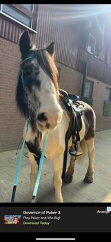 ROC Reinduro 16/34 ROC  Reinduro