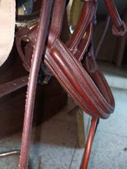 Rolled Flash Bridle with rubber reins, Shires  Adelfi, Carolyn Thow, Bridles & Headstalls, Alvarado