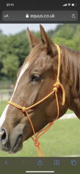 Rope halter, Candy Mercer, Halters, Gillingham